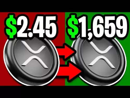 SEC為Ripple提供首席執行官XRP Ripple的定居點！首席執行官洩露了$ 1,659！ -XRP Ripple新聞今天