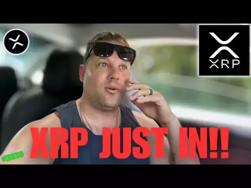 Juste dedans! Ripple xrp haussier! 🚨