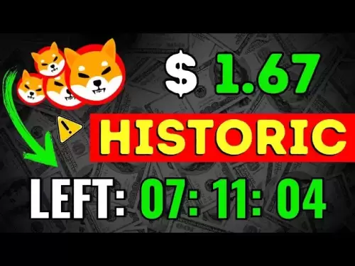 Shiba Inu开发人员向Shib Holders -Shiba Inu硬币新闻有一个秘密信息！重磅炸弹预测