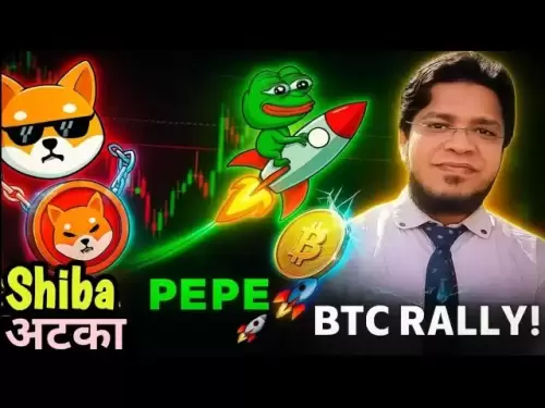 为什么Shiba Inu不像Pepe硬币和比特币那样抽水| Shib Coin最新新闻2025