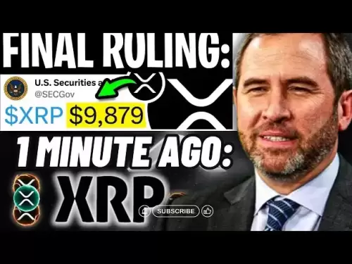 XRP Ripple SEC解决方案泄漏了！首席执行官确认$ 9,879 XRP价格目标 - 这一切都会改变