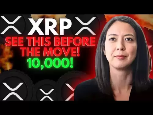 XRP：我刚刚找到了……您需要看到它！