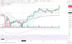 Cheds Trading