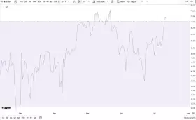 Cheds Trading