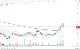 Cheds Trading