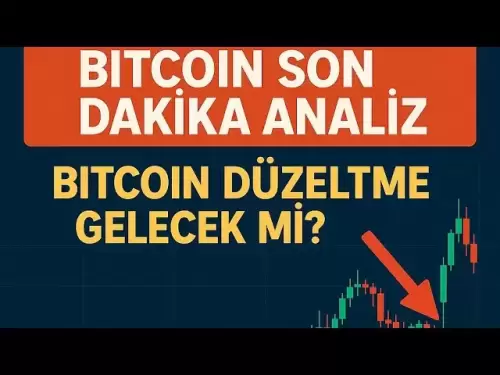 比特币的最后一刻分析shiba分析