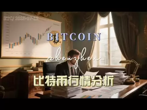 12. Juli 2025, Bitcoin -Marktanalyse, berührt die Spitze im Wahnsinn, kaufe den Boden in Verzweiflung