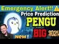 PUDGY PENGU Coin Price Prediction 2025 & Review| PENGU Buy or Not | Noman Fida