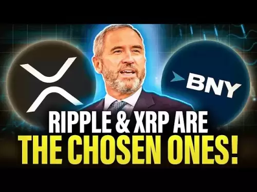 Ripple首席执行官揭示了巨大的：XRP总是被选中！