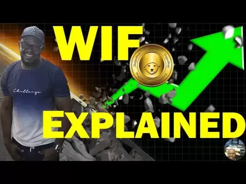 WIF Token Explained: Meme Coin or Solana Powerhouse?