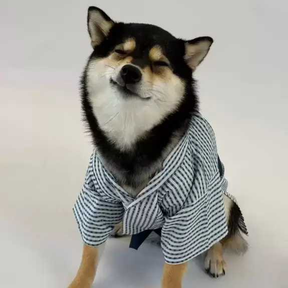 Manyu