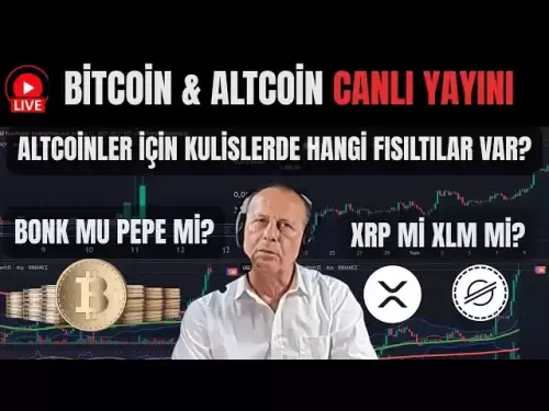 比特幣支持！ Bonk還是Pepe？ XRP還是XLM？後台發生了什麼？