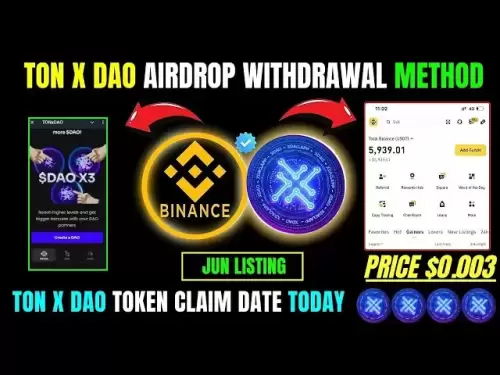 TON X DAO上市日期秘密您現在需要知道