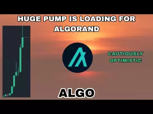 Algo硬币巨大的泵在2025年加载‼对algorand Crypto谨慎乐观