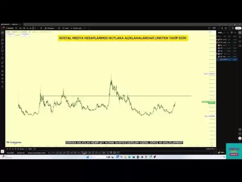 Bonk硬幣的最後一刻Bonk硬幣分析Bonk硬幣為什麼比特幣最後一刻#bitcoin #bonkk