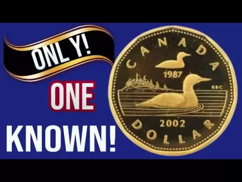 2002 Canadian Loonie im Wert von 20.950 US -Dollar? Seltener Wert von einem Dollar Münzwert! | Nz alte Münznachrichten