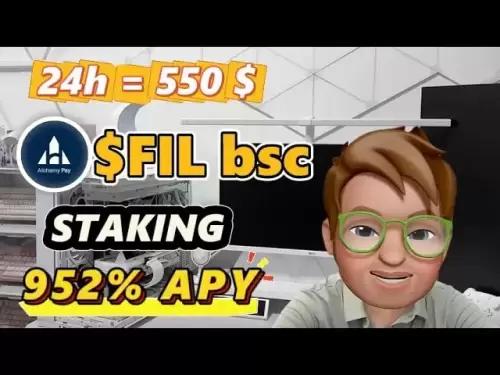加密2025指南：Stake FIL BSC代币在牛市的利润项目中 - 952％APY
