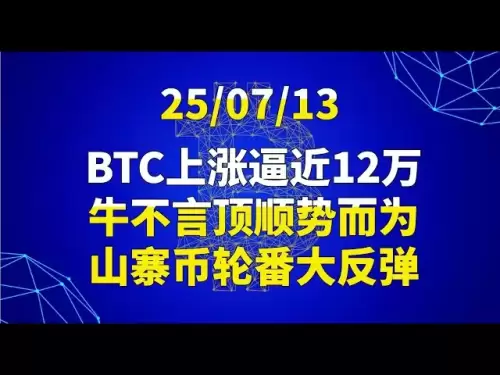 Am 13. Juli stieg BTC um fast 120.000, Niu Buyan folgte dem Trend, und Altcoins erholte