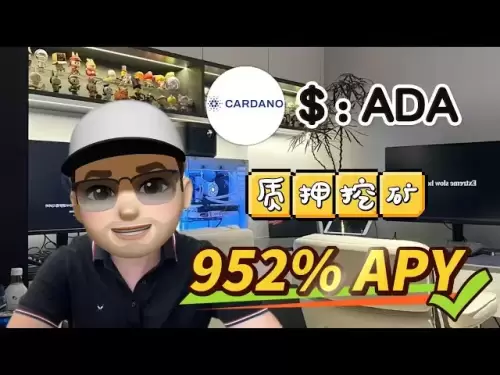 带你实操质押ADA挖矿 每天盈利500U+ 稳定高效才是币圈中最好的Cardano ADA bsc！