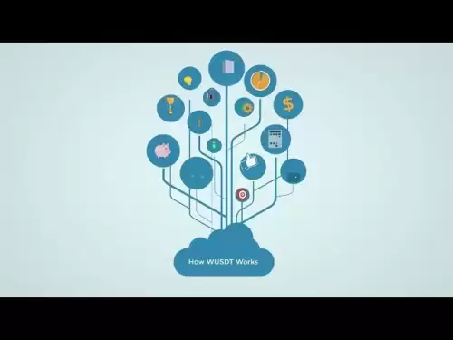 Token Wraped USDT (WUSDT) Token
