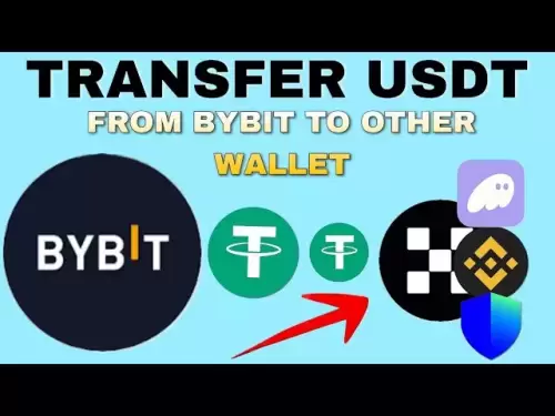 Comment transférer USDT du portefeuille Bybit à tout autre portefeuille d'échange