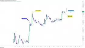 CRYPTOWZRD