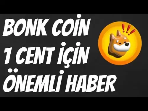 Bonk Coin 1 cent J'attends RISE! Bonk Big Annonce est arrivé