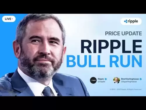 Brad Garlinghouse: Ripple Bull Run bestätigt! XRP -Preisvorhersage