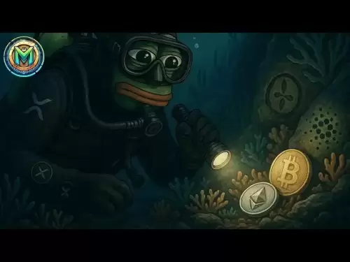 나는 가장 깊은 곳에서 가장 귀중한 보물을 찾는 가장 깊은 다이빙 - Pepe Coin은 곧 시작될 수 있습니다.