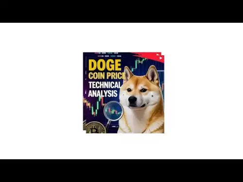 Doge硬币市场更新和技术分析
