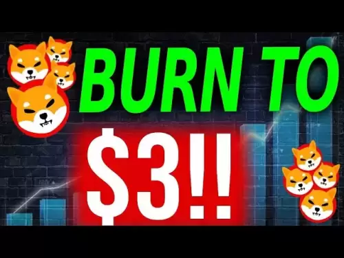 Nouvelle solution Samsung pour transformer Shiba Inu en jeton de 3 $ !! - Shiba Inu Coin News aujourd'hui