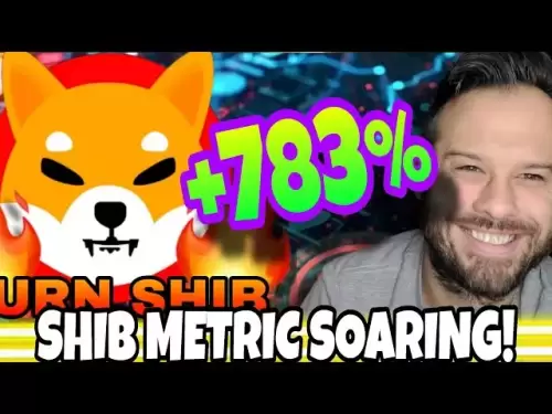 Shiba Inu硬币| Shib Metric Rips的极度看涨速度高783％