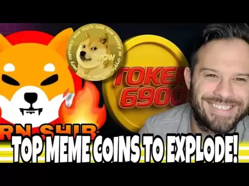 Top -Meme -Münzen, um im Jahr 2025 zu explodieren! Shib, Doge und Token 6900 machen die Liste! Was noch ?!