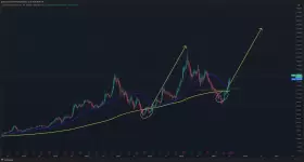 The Long Investor