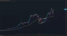 The Long Investor