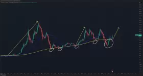 The Long Investor