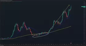 The Long Investor