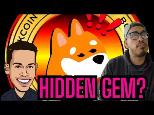 Bonk Coin Bounce Incoming? Here’s What You Need to Know