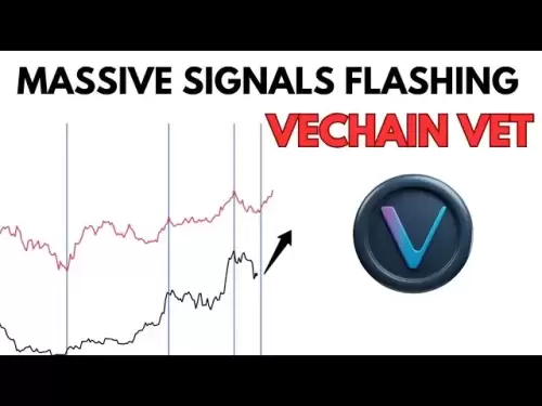 クレイジーなVechain獣医の技術アラート||分析と価格の予測