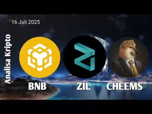加密分析 - 硬幣BNB，ZIL和CHEEMS的分析是否仍然很有趣？