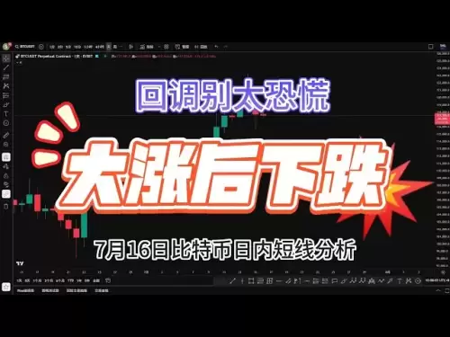 最新のビットコイン市場が上昇して倒れ、引き戻されたときにパニックに陥らないでください
