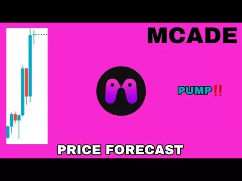 2025 년 McAde 동전 펌프 잠재