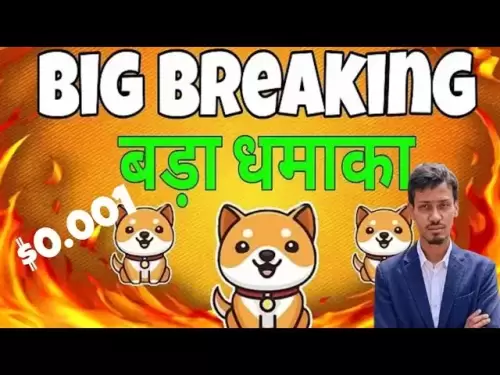 babydogeコイン価格目標2025 | Big News BabyDoge | babydogeコインポンプブルラン
