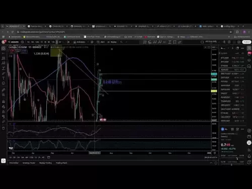 Cardano: ADA 3. Welle laufend. Preisaktion Technische Analyse Elliott Waves und Fibonacci
