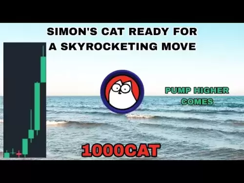 1000 -cat -Münze wird im Juli 2025 höher pumpen.