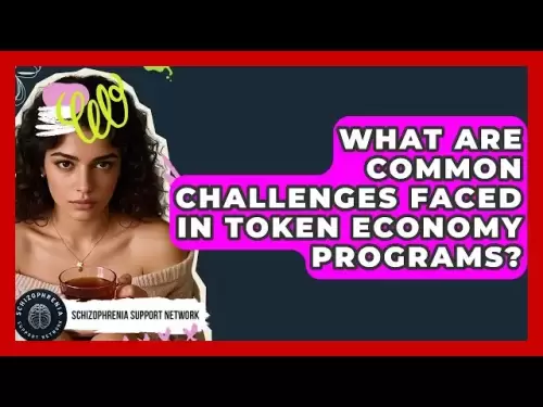 トークンエコノミープログラムで直面する一般的な課題は何ですか？ - 統合失調症サポートネットワーク