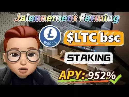 LTC BSCステークでホーシエ市場を支配する - 農業戦略を獲得する