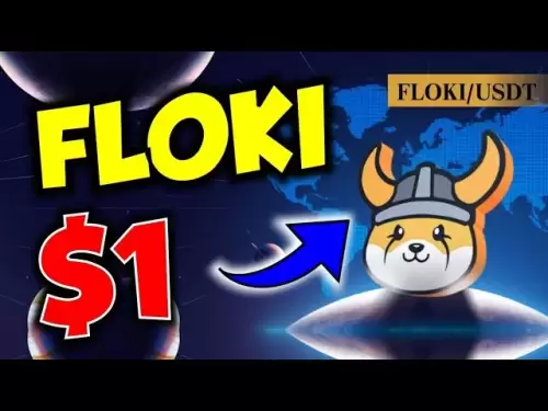 FLOKI Best * Gewinn * Crypto Meme Münze, der jetzt im Jahr 2025 explodiert! (Zeit sensibel !!!)