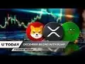 Am 17. Juli treten wir in eine neue Ära ein: xrp 24 $, Shiba 0,0005 $, Pepe 0,0004 $, Floki 0,0023 $ ath! 🔥
