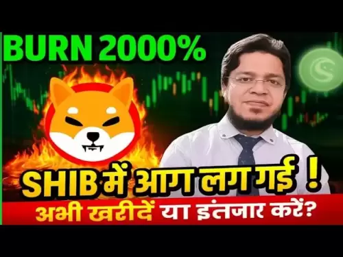 Shib價格預測和燃燒率解釋了|買還是等？ （加密更新2025年7月）